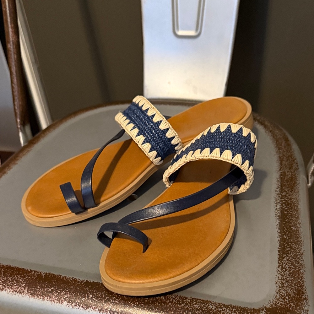 Italian Shoemakers Navy and Tan Sandals